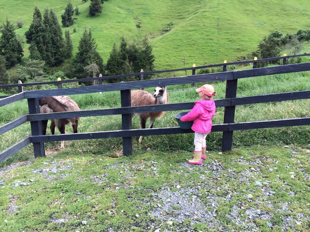 Hotel Bariloche サンタ・ロサ・デ・カバル エクステリア 写真