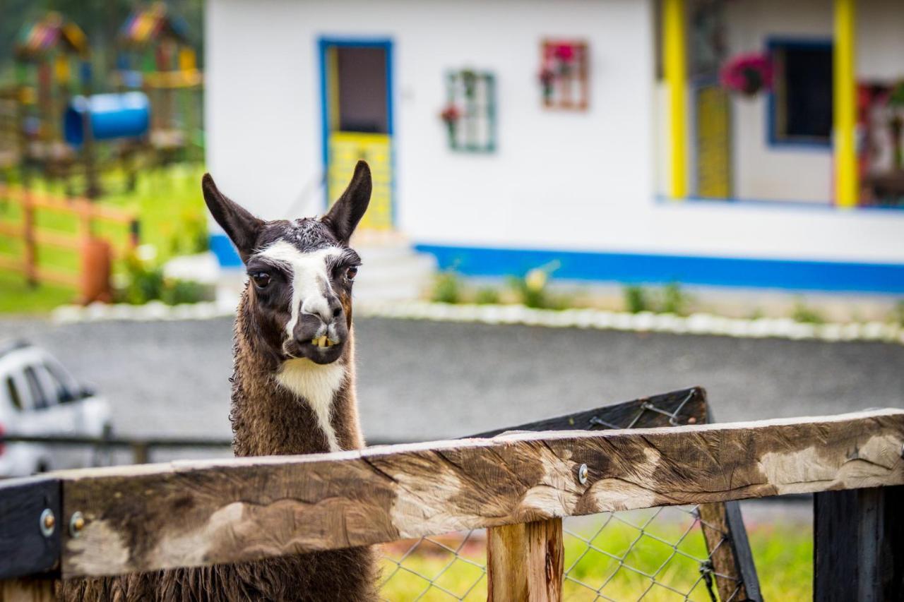 Hotel Bariloche サンタ・ロサ・デ・カバル エクステリア 写真